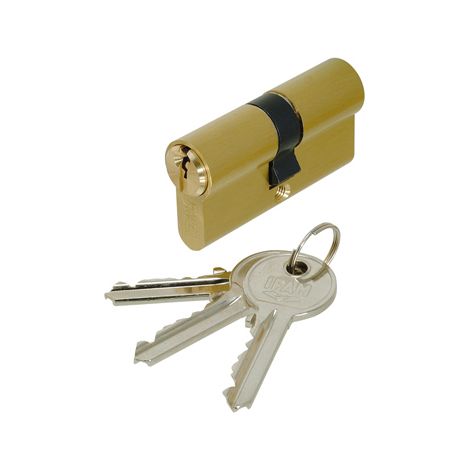Cylindre double laiton f5 s - A : 30 - Longueur : 30x60 - B : 60 - IFAM