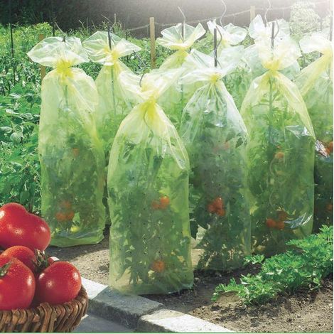 NORTENE Housse de croissance tomate Tomatotube en film perforé jaune - avec liens