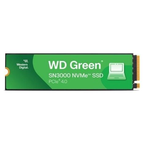 Ampliación de Memoria PC WESTERN DIGITAL WD WDS100T4G0E
