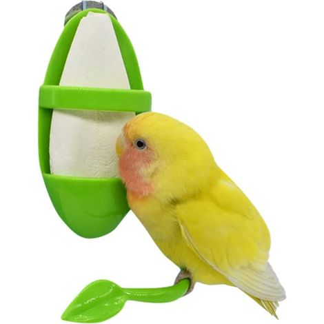 Mangeoire pour perroquet avec support, étagère à fruits et légumes, récipient suspendu en plastique, accessoires pour cage et oiseaux de compagnie, verte (1/5)