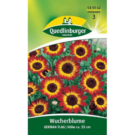 Zierblume, Sommerblumen Saatgut für Garten, einjährig (1/2)