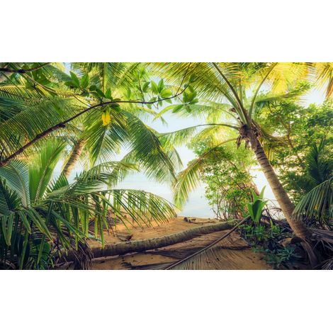 Papier peint panoramique naturel Cachette des Pirates (1/4)