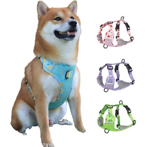 Harnais respirant pour chien, idéal pour l'été, anti-traction, réglable avec anneau en D et éléments réfléchissants, pour chiens de petite, moyenne et grande taille (Bleu lac, XL) (1/5)