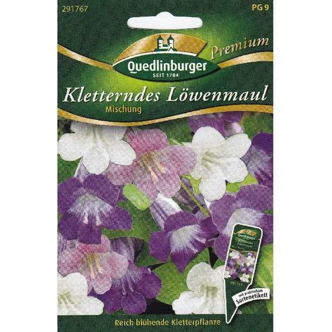 Quedlinburger Kletterndes Löwenmaul Mischung - Blumensamen (1/2)