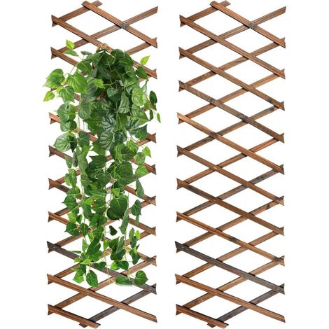 Support de jardinière en Treillis Extensible : 2 jardinières murales en Treillis en Bois (1/5)