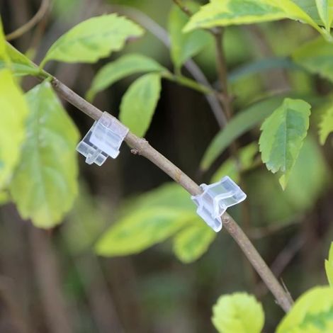 100PCS Pince à greffer pour plantation de tomate et Pince à greffer (1/4)