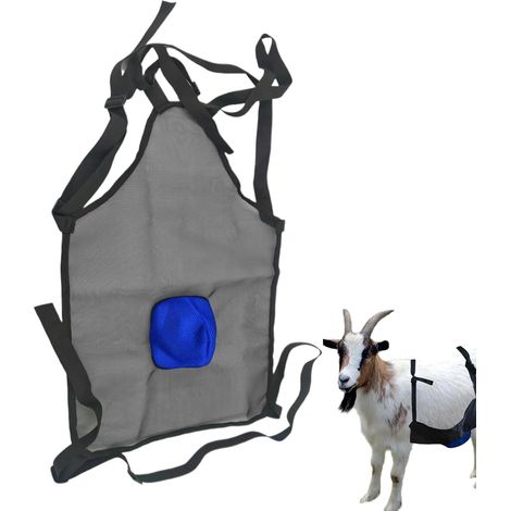 Tablier anti-monte moutons – matériel agricole prévention reproduction bovins chevaux
