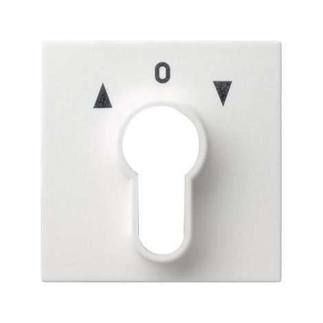 Gira Schlüssel/Abd Jalousie reinweiß glänzend System 55 066403 Pfeile (1/5)
