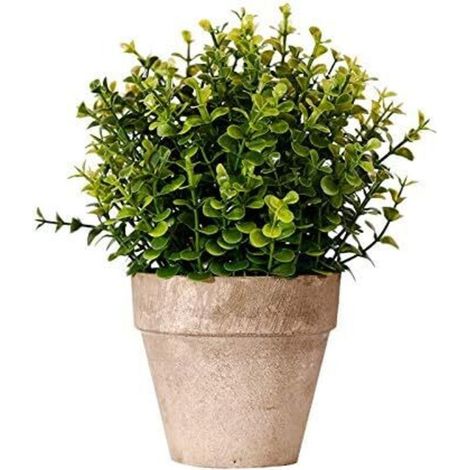 Plante grasse artificielle en pot, verte, pour la décoration intérieure et extérieure, colorée à la main, avec pot de 15 cm (1/3)