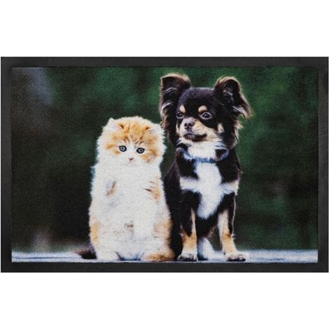 Paillasson chien et chat photo réaliste Annapurna (1/4)