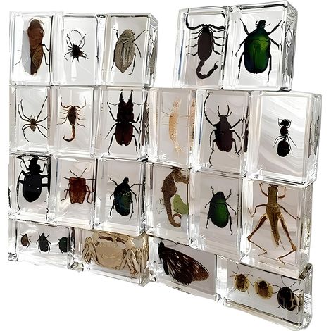 Insekten-Set aus Kunstharz, 12-teilig. Sie ergänzen die Sammlung und eignen sich auch als Tischdekoration. (1/5)