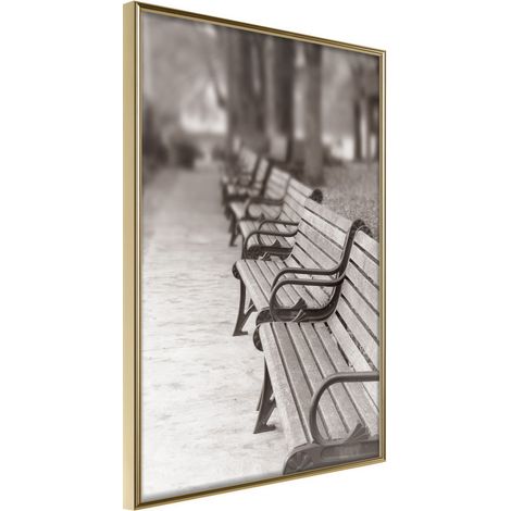 Affiche Murale Encadrée "Park Alley" 30 x 42 cm Or