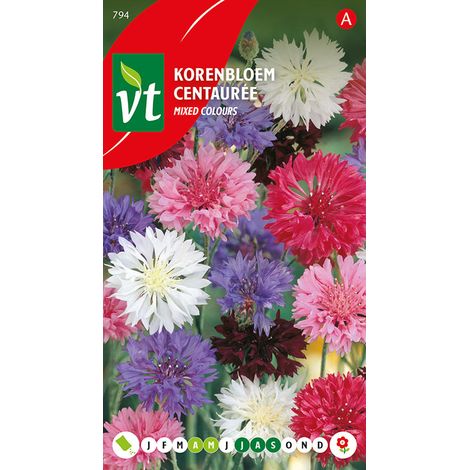 Centaurée Variée - Ca. 1 gr (Livraison Gratuite) (1/2)