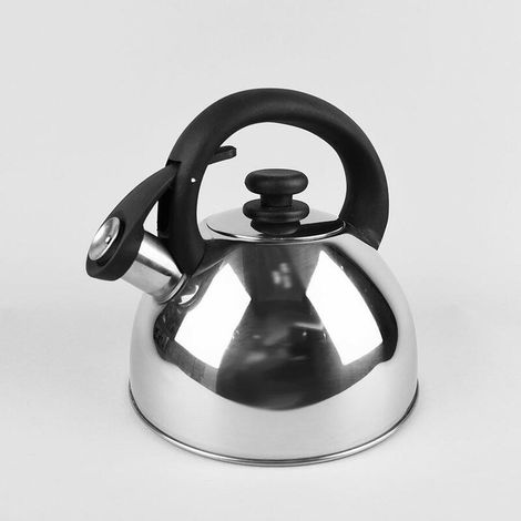 Feel-Maestro MR1302 tetera 2,5 L Acero inoxidable (1/3)