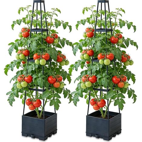 Ensemble de 2 planteurs surélevés avec Trellis, planteur automatique d'arrosage de tomates pour la culture de concombres, haricots, roses et pétunias (1/4)
