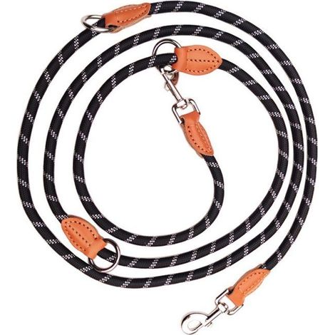 Doppelleine für große Hunde, verstellbare Hundeleine – 1,3 x 200 cm (1/5)