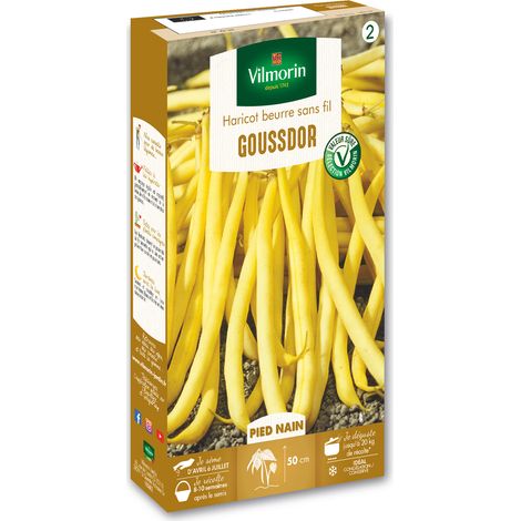 Haricot Nain Beurre Goussdor Vilmorin (1/2)