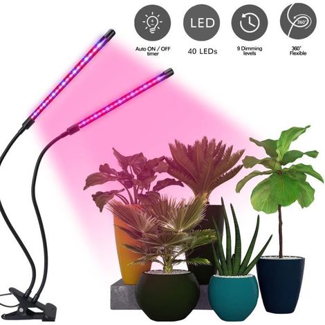 Lampe horticole à 2 têtes avec minuterie automatique marche/arrêt, idéale pour les semis, les plantes succulentes et les orchidées.-AquaForge (1/5)