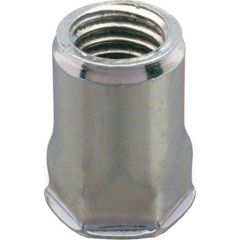 250 Ecrous à Sertir Semi Hexagonaux Tête Ronde GOSERT M6 x 15.5 mm - Inox - D-Work