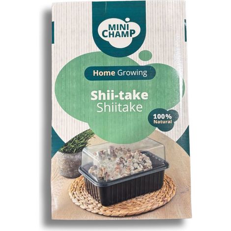 Kit culture Shii-take Minichamp 3 litres