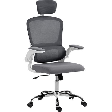 Mesh Office Chair with Lumbar Support, Anthracite Grey (1/5)
