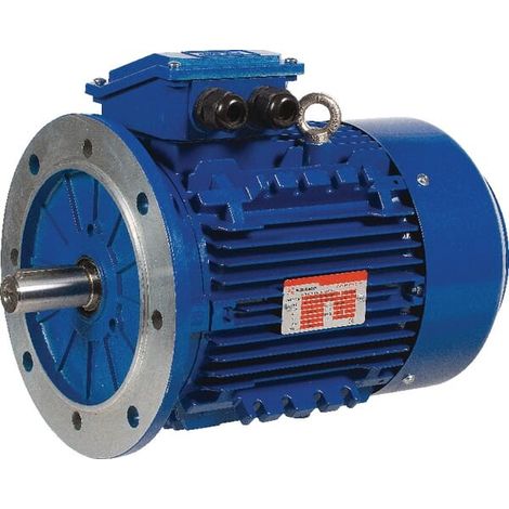 Moteur électrique 1,5 kW UNIVERSEL EM100L6B5300IE3AKR (1/5)