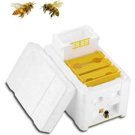 Ruche pour la récolte du miel, la pollinisation, outils apicoles - AquaForge (1/5)