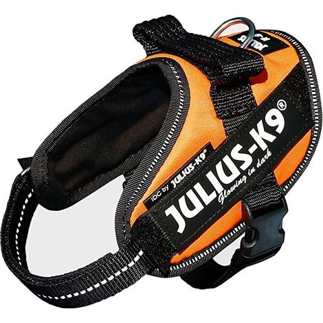 Harnais julius idc xs orange (1/5)