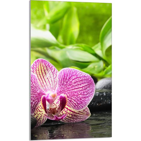 TABLA DE CORTAR DE VIDRIO 30x52 Orquídea (1/5)