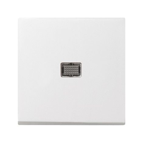 Interrupteur à voyant grand voyant, System 55 blanc pur brillant