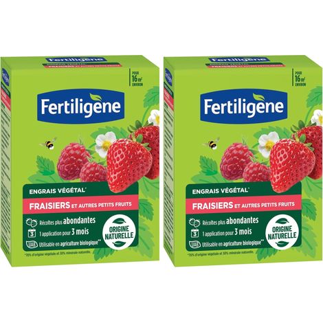 Engrais Végétal Fraisiers et Autres Petits Fruits 1,2 kg - Des récoltes plus abondantes - Seulement 1 application en 3 mois - Jusqu'à 16m² - Produit 100% naturel avec zéolite (1/2)