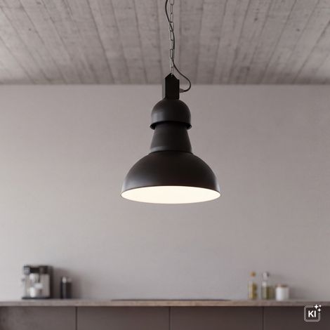 Hängelampe Industrie schwarz E27 bis 60W 230V (1/5)