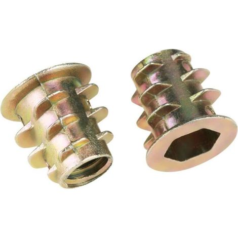 100 Pièces M5 × 10mm Écrou Hexagonal Fileté En Alliage de Zinc Assortiment, Écrous D'insert pour les Meubles en Bois