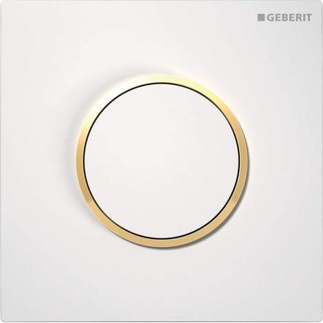 Geberit 241915KK1 Typ 10 BetPl. für UR-Steuerung (1/5)