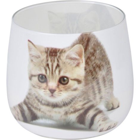 Bougie Anti-Odeurs "Chat" 8cm Blanc