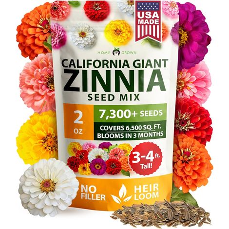 Lot économique graines Zinnia 2oz, fleurs vivaces robustes à entretien réduit, attirent pollinisateurs, idéal plantation extérieure et culture fleurs coupées