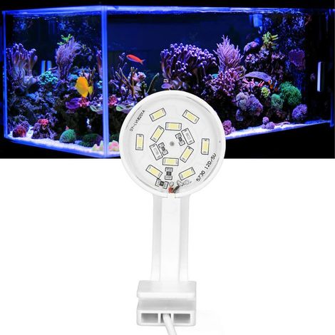 Éclairage LED Mini Aquarium Blanc et Bleu, Lampe de Paysage pour Nano Tank, Haute Luminosité, Alimentation USB - (1/5)