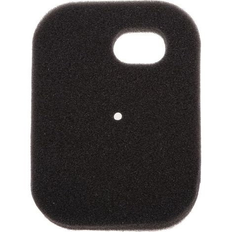 Filtre à Air Éponge Pièce de Remplacement Moto pour PW 50 (1/5)