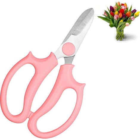 Sécateur professionnel pour jardinage – Cisailles à fleurs en acier inoxydable épais, robustes et précises, lame forgée, manche ergonomique (1/5)