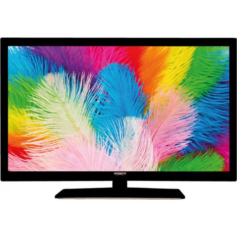 Fernseher 22'' Weitwinkel Kompatibel mit 12V-24V-230V - Antarion
