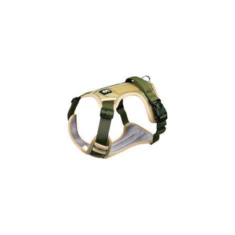 Laisse pour chien, harnais pour grand chien, Golden Retriever, Labrador, laisse anti-explosion de type gilet pour chien moyen (1/4)