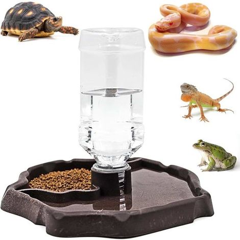 Distributeur d'eau pour Reptile, Abreuvoir Tortue Terrestre 2 en 1, Distributeur d'eau Portable avec Plat en Plastique Abreuvoir