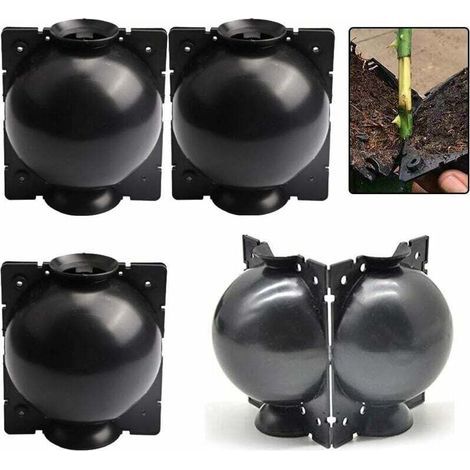 Boîte de greffe de plantes 4 pièces - Grande, dispositif d'enracinement des plantes, boîte de plantes haute pression, boules de bouturage pour la culture en jardin, la propagation et le greffage (1/5)
