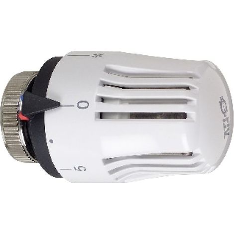 TESTA TERMOSTATICA CON SENSORE LIQUIDO M 30 x 1,5