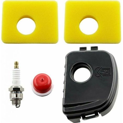 Couvercle de filtre à air avec filtre pour Briggs & Stratton 300e, 450e et 550e (595660, 594281, 799579, 5434, 4248 et 09P702) (1/4)
