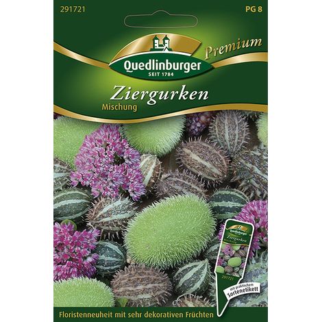 Quedlinburger Saatgut – Concombres ornementaux en mélange – Graines, plantes grimpantes, non comestibles