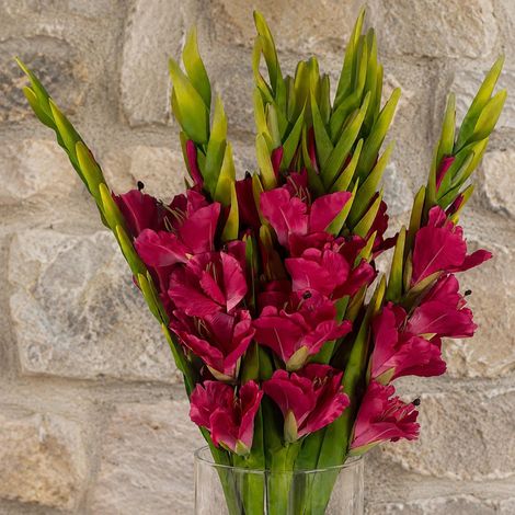 Pack of 6 x 115cm Artificial Pink Gladioli Stem - Premium Quality (1/5)
