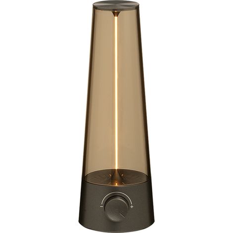 Lampe rétro décorative rechargeable d'intérieur à intensité variable, veilleuse américaine USB à double usage (1/5)