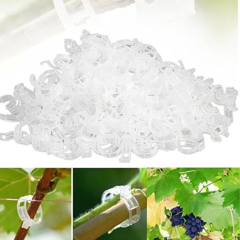 Pflanzenstützclips, Tomatenclips für den Garten, Stützclips für Gartenpflanzen, Clips für Gemüse, Tomatenranken, Stängel für gerades und gesünderes Wachstum (100, transparent) (1/5)