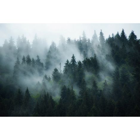 Papier peint panoramique - Forêt - 130 cm x 87 cm (1/2)